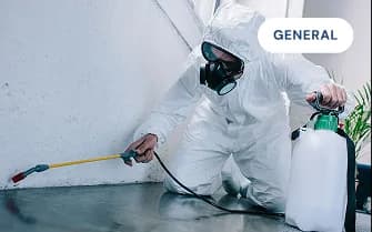 How Much Does Pest Control Cost in Manchester? (Rats, Mice, Bed Bugs & More)