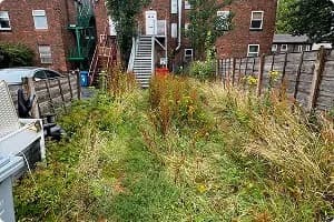 Before: overgrown rear garden prior to clearance
