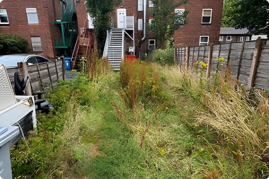 Before: overgrown rear garden prior to clearance